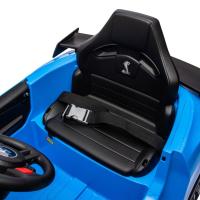 Ford Mustang 12V license original electric bulls